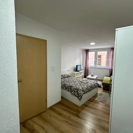 Cozy Downtown Apartment
