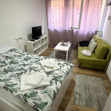 Apartment Cozy Downtown